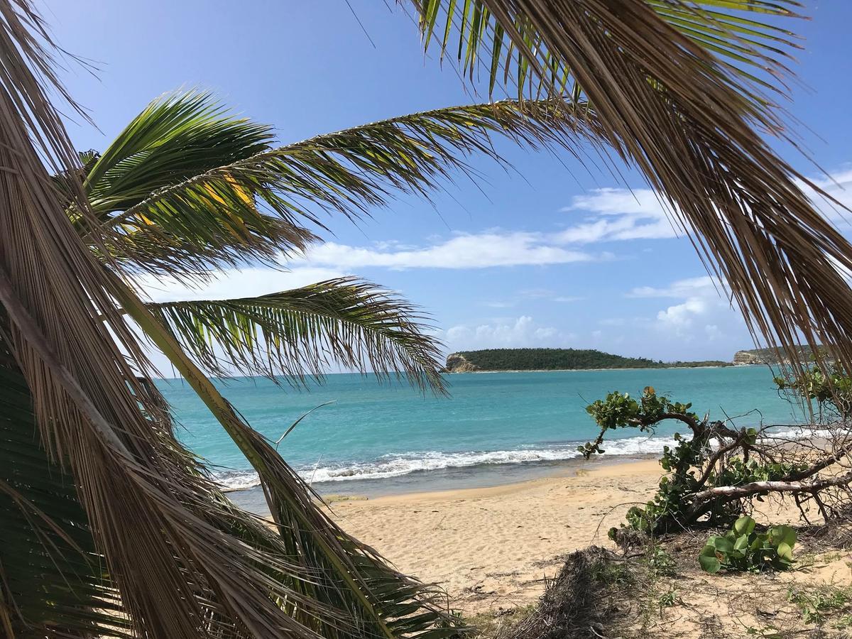 Vieques Good Vibe Guest House Exterior foto