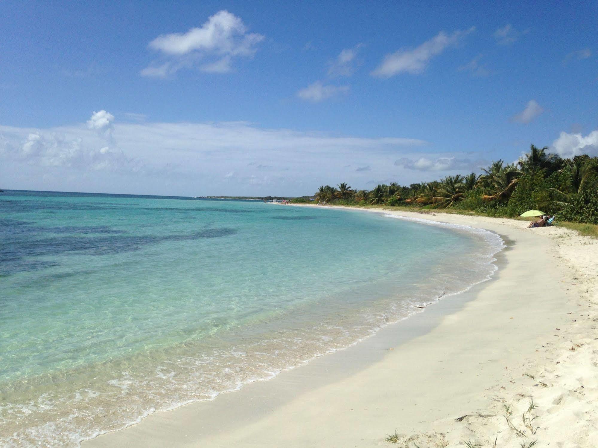 Vieques Good Vibe Guest House Exterior foto